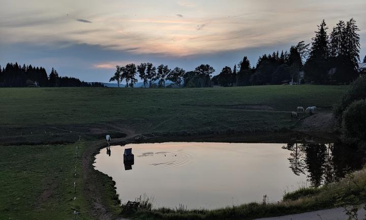 Gasthof Zum Hirschen